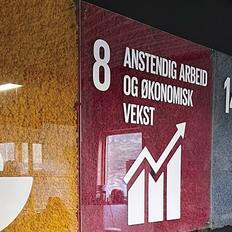 スカンディアモス
施工写真