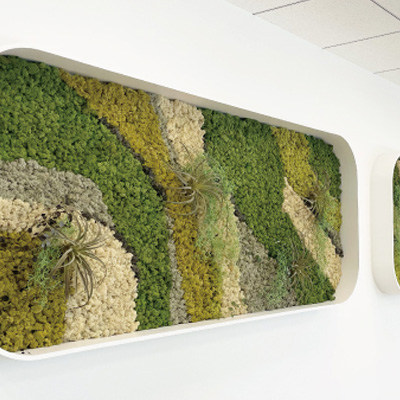 スカンディアモス
施工写真