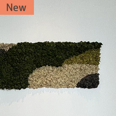 スカンディアモス
施工写真