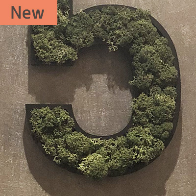 スカンディアモス
施工写真