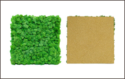 パネルモス（コルク）